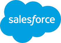 Salesforce Data Ecosystem Integration